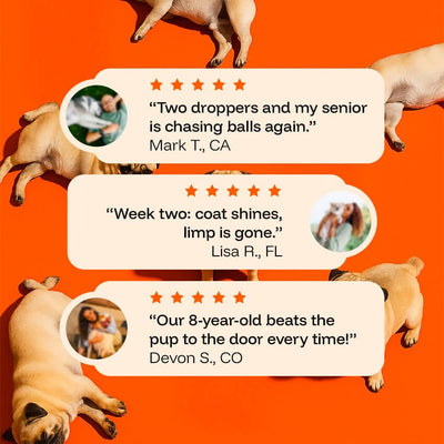 PawPerimeter Daily Longevity Drops — NAD+ & NMN