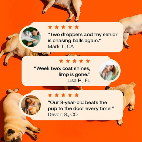 PawPerimeter Daily Longevity Drops — NAD+ & NMN