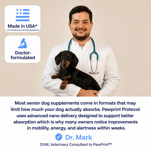 PawPerimeter Daily Longevity Drops — NAD+ & NMN