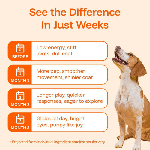 PawPerimeter Daily Longevity Drops — NAD+ & NMN