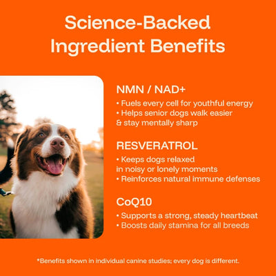 PawPerimeter Daily Longevity Drops — NAD+ & NMN