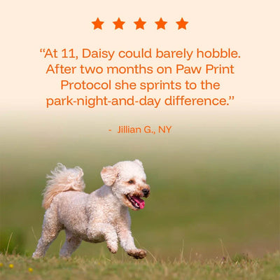PawPerimeter Daily Longevity Drops — NAD+ & NMN