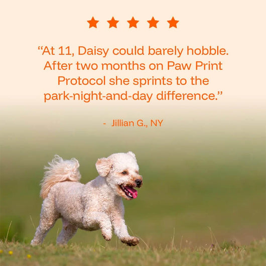 PawPerimeter Daily Longevity Drops — NAD+ & NMN