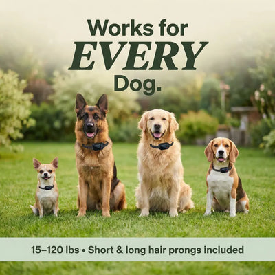 PawPerimeter's GPS Wireless Dog Fence v2