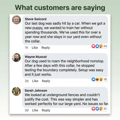 PawPerimeter's GPS Wireless Dog Fence v2