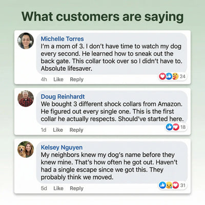 PawPerimeter's GPS Wireless Dog Fence v2