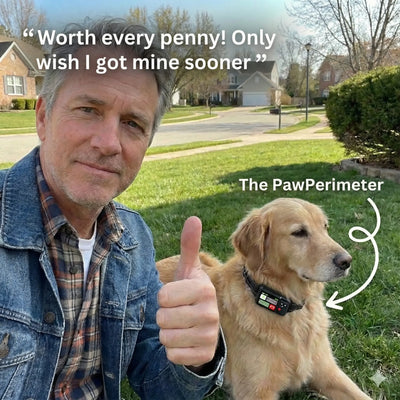PawPerimeter's GPS Wireless Dog Fence v2
