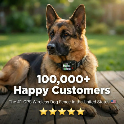 PawPerimeter's GPS Wireless Dog Fence v2
