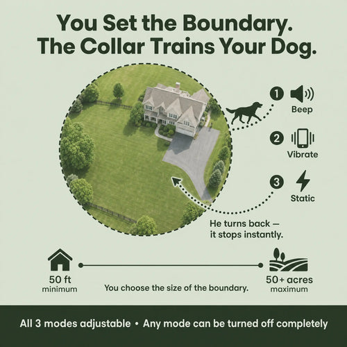 PawPerimeter's GPS Wireless Dog Fence v2