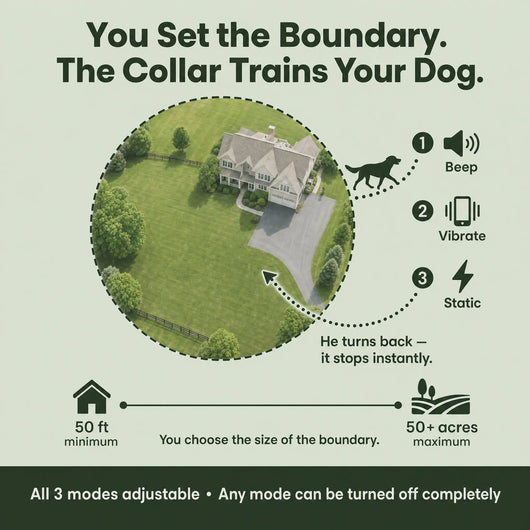 PawPerimeter's GPS Wireless Dog Fence v2